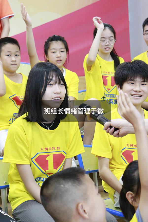 班组长情绪管理 于微